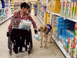 Service-Dog-Helping-to-Shop4