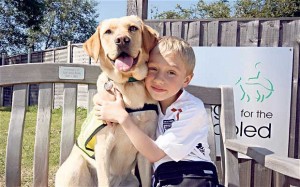 dogs-for-disabled-_1782050b